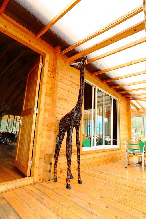 Jambo Mara Safari Lodge Ololaimutiek Habitación foto